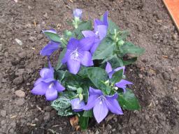 BIMG_4943