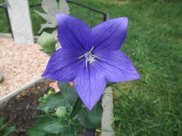 BIMG_4947