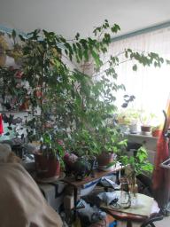 BIMG_5947