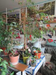 BIMG_5956