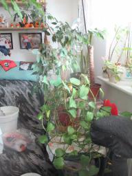 BIMG_5957