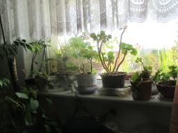 BIMG_5958