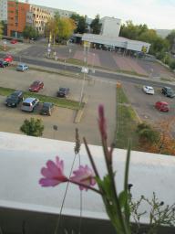 BIMG_6038