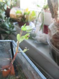 BIMG_6039