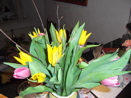 DSCF0011