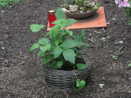 DSCF0133