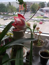 DSCF0134