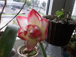 DSCF0135