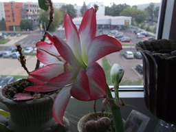 DSCF0142