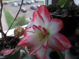 DSCF0143