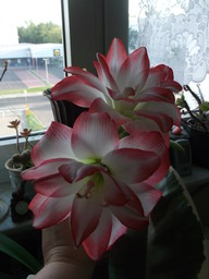 DSCF0164