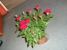 DSCF0170