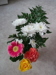 DSCF0329