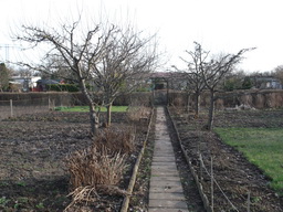 DSCF1405
