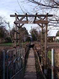 DSCF1407