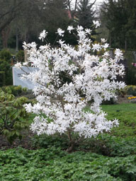 DSCF1436