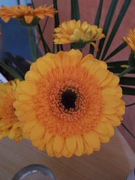DSCF1497