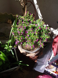 DSCF1631
