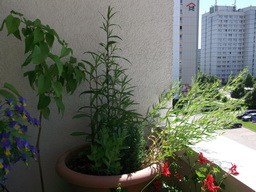 DSCF1638