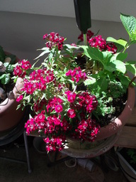 DSCF1640