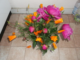 DSCF1641