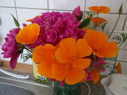 DSCF1644
