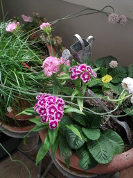 DSCF1802