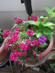 DSCF1803