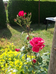 DSCF1829
