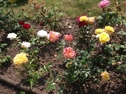 DSCF1836