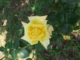 DSCF1840