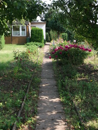 DSCF1842