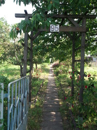 DSCF1846