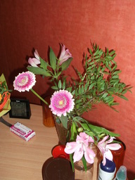 DSCF1915