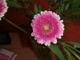 DSCF1916