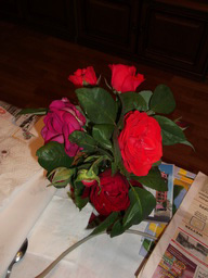 DSCF1956
