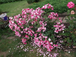 DSCF1984