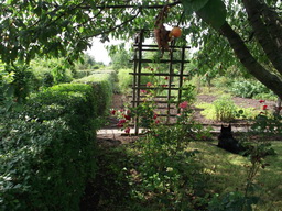 DSCF2004