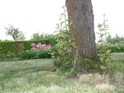DSCF2011