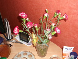 DSCF2102