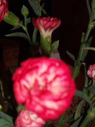 DSCF2103