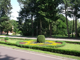 DSCF2110
