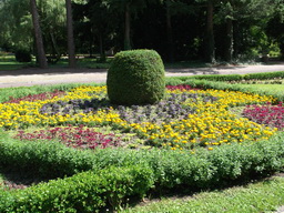 DSCF2111