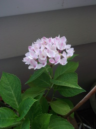 DSCF2149