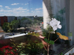 DSCF2197