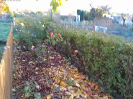 This photo is taken by AllWinner's v3-sdv