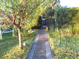 This photo is taken by AllWinner's v3-sdv