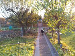 This photo is taken by AllWinner's v3-sdv