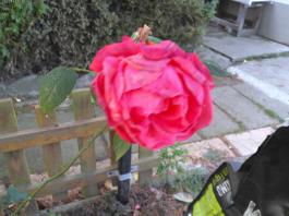 This photo is taken by AllWinner's v3-sdv