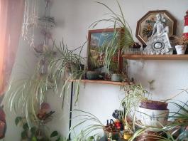 1_winter_2024-2025IMG_20250129_131742